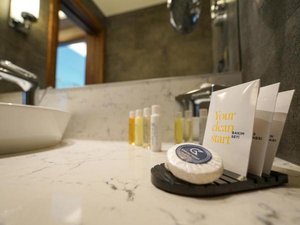 Golden Tulip Istanbul Bayrampasa : photo 7 de la chambre chambre lit queen-size exécutive - vue sur ville