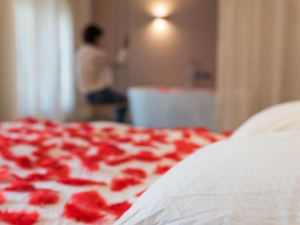 MiHotel Sala : photo 4 de la chambre suite de luxe « balançoire »