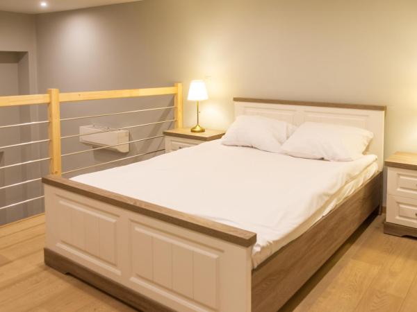 Wellness Apart Hotel : photo 3 de la chambre appartement deluxe (1-7 adultes)
