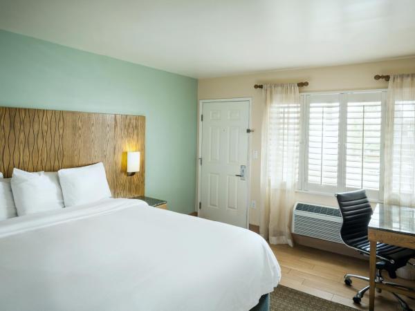 PB Surf Beachside Inn : photo 2 de la chambre chambre lit king-size standard