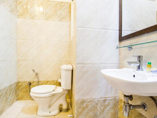 Hotel Raj Kothi Jaipur airport : photo 1 de la chambre chambre double deluxe