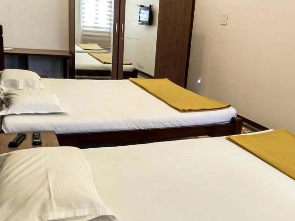 Carlton Hotel Mumbai - Behind Taj Mahal Palace Colaba Mumbai : photo 5 de la chambre chambre triple supérieure avec climatisation et salle de bains commune