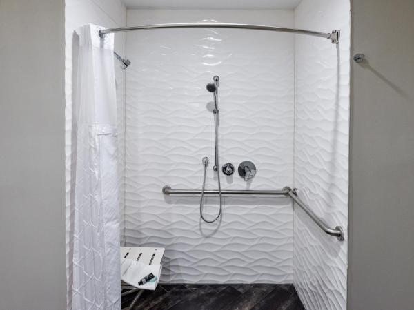 Hollywood Inn Suites Hotel : photo 4 de la chambre chambre simple - accessible aux personnes à mobilité réduite