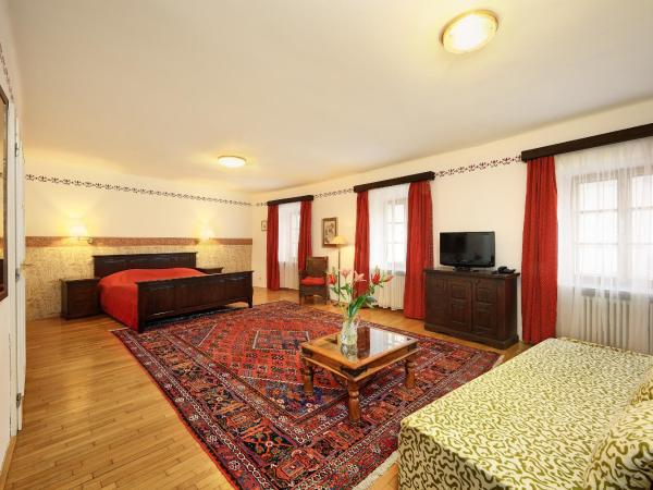 Hotel Konvice : photo 2 de la chambre chambre double supérieure