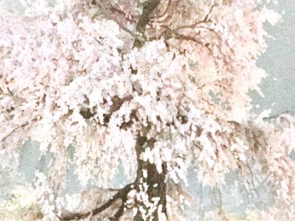 International Guest House Tani House : photo 3 de la chambre chambre double ou lits jumeaux avec salle de bains commune