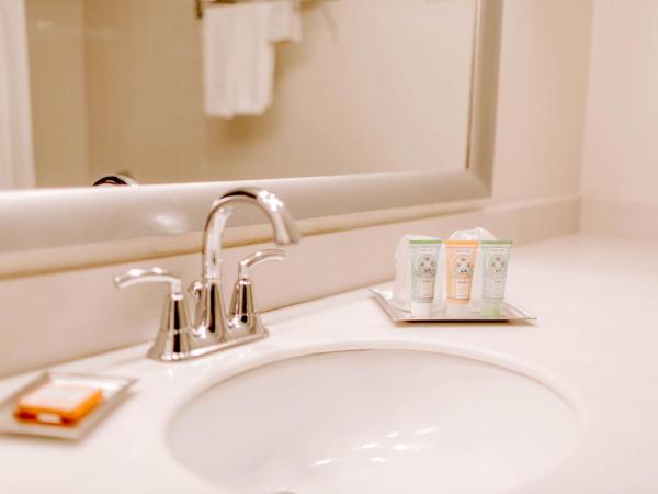 Wyndham Garden Dallas North : photo 2 de la chambre chambre lit king-size premium