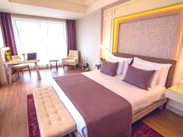 The Green Park Ankara : photo 4 de la chambre chambre double standard