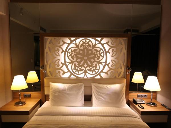 Downtown Ankara Hotel : photo 1 de la chambre chambre double standard - vue sur ville