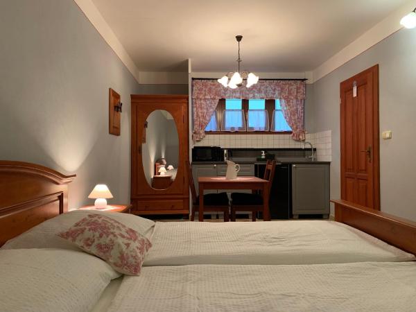 Pension Amadeus & Apartments : photo 2 de la chambre studio
