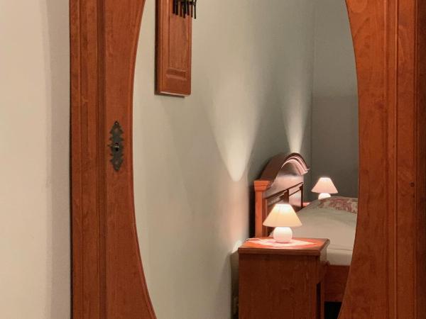 Pension Amadeus & Apartments : photo 6 de la chambre studio