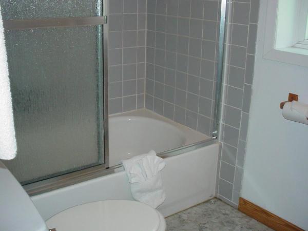 Blue Moon Motel : photo 4 de la chambre suite familiale