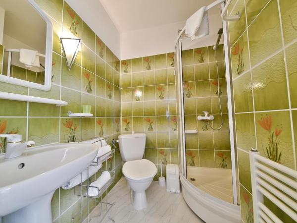 Panorama Gór w Karpaczu : photo 7 de la chambre chambre double - vue sur montagne