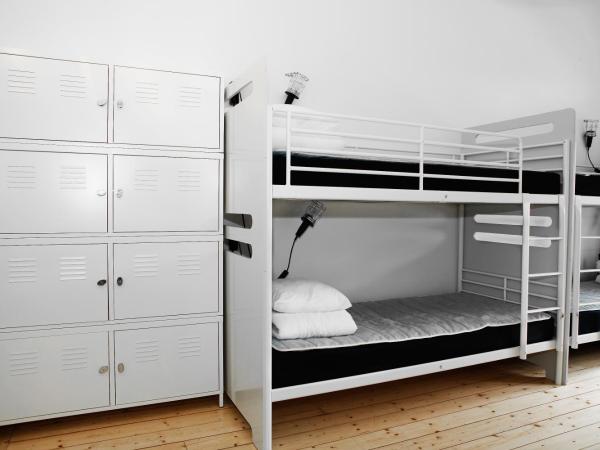 City Backpackers Hostel : photo 9 de la chambre lit dans dortoir de 8 lits 