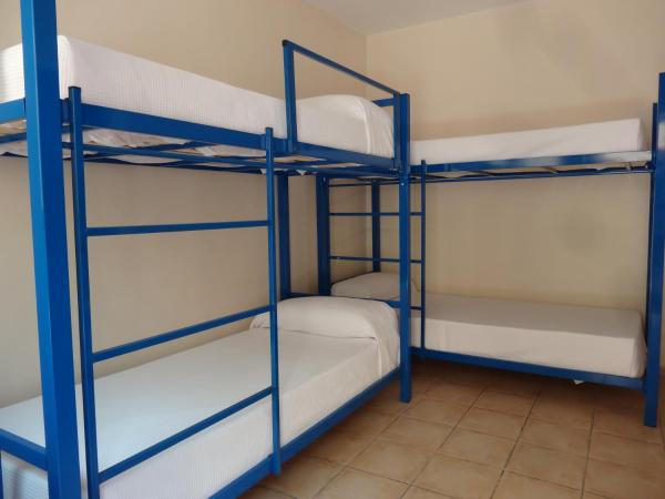 Black Sheep International Hostel : photo 1 de la chambre lit dans dortoir pour hommes