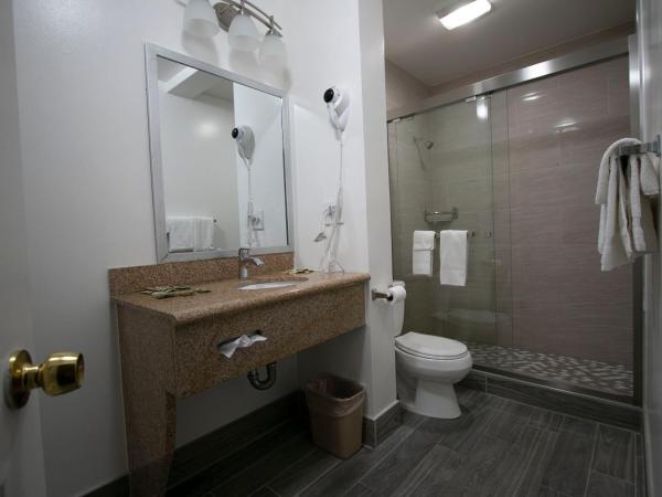 Alpha Inn and Suites : photo 2 de la chambre chambre lit king-size