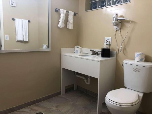 Best Western On The Bay Inn & Marina : photo 3 de la chambre chambre lit king-size pour personnes à mobilité réduite avec douche accessible en fauteuil roulant - non-fumeurs
