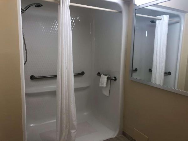 Best Western On The Bay Inn & Marina : photo 2 de la chambre chambre lit king-size pour personnes à mobilité réduite avec douche accessible en fauteuil roulant - non-fumeurs