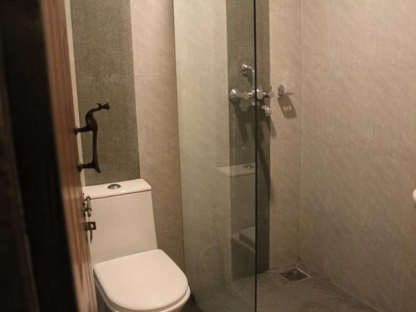 Kiwi Backpackers Hostel Pokhara : photo 1 de la chambre chambre lits jumeaux deluxe