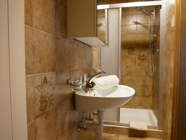 Hotel Garni Bergsonne : photo 4 de la chambre chambre simple