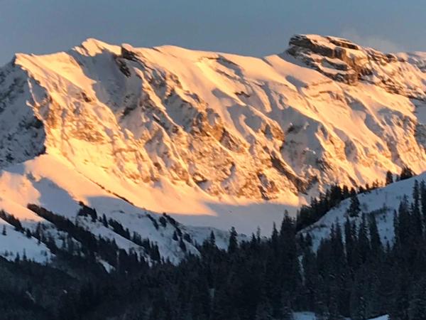 Abelied : photo 7 de la chambre appartement