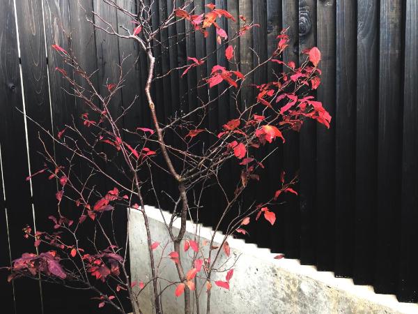 Komatsu Residences : photo 2 de la chambre appartement 2 chambres