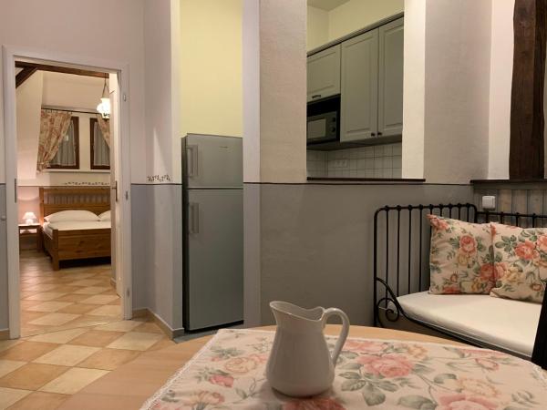 Pension Amadeus & Apartments : photo 1 de la chambre appartement 1 chambre