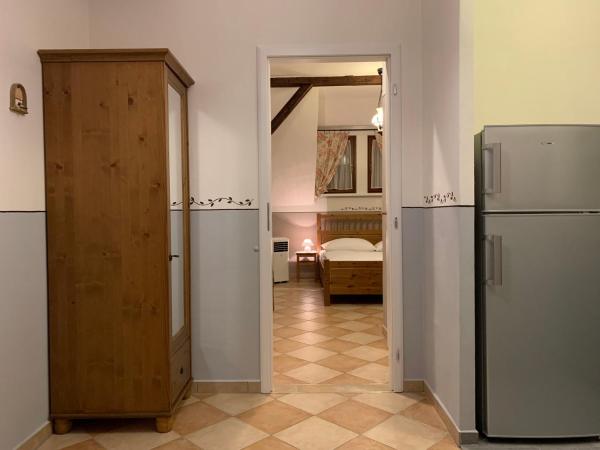 Pension Amadeus & Apartments : photo 3 de la chambre appartement 1 chambre