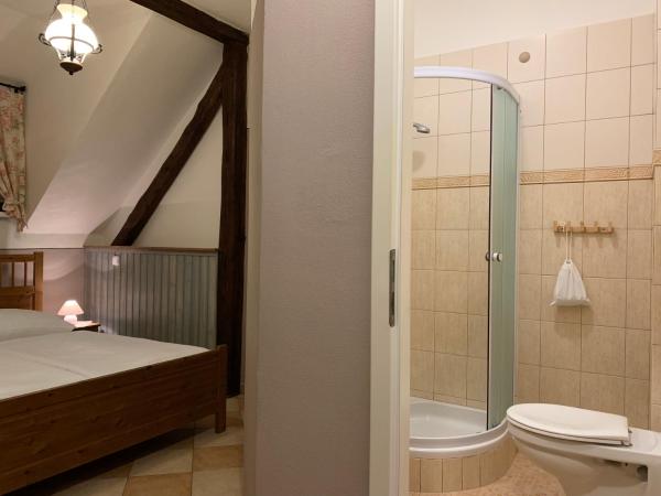 Pension Amadeus & Apartments : photo 7 de la chambre appartement 1 chambre