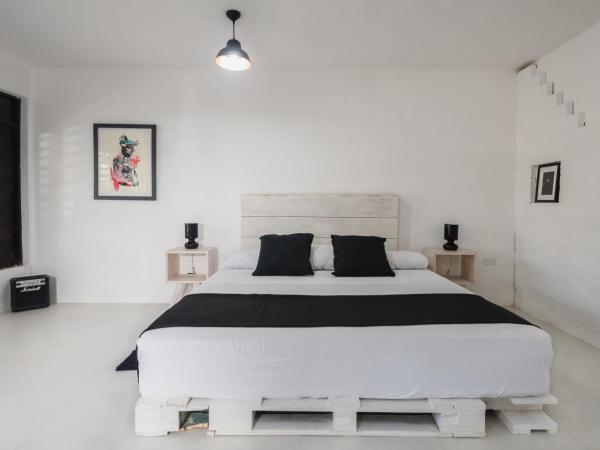 Tuup Jungle : photo 2 de la chambre studio
