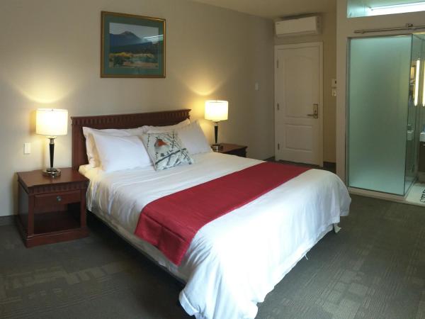 Hotel Le Deville : photo 3 de la chambre chambre lit queen-size deluxe