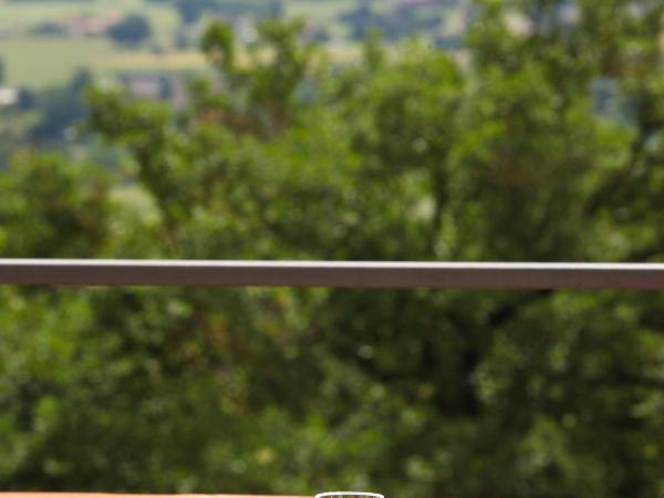 Agriturismo Il Vecchio Mandorlo : photo 3 de la chambre appartement supérieur 2 chambres avec balcon