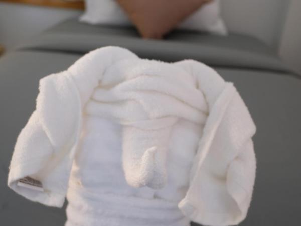 Paiyannoi Guesthome : photo 9 de la chambre chambre lits jumeaux