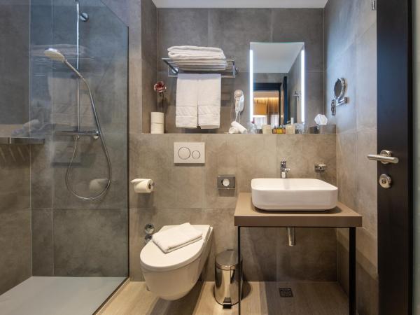 Livris Hotel : photo 6 de la chambre chambre double standard - annexe