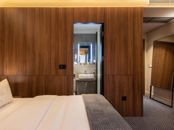 Livris Hotel : photo 7 de la chambre chambre double standard - annexe