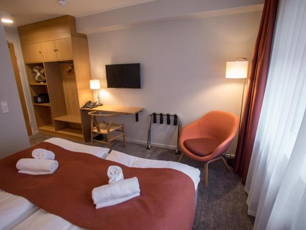 Hotel Bethel : photo 7 de la chambre chambre double ou lits jumeaux standard