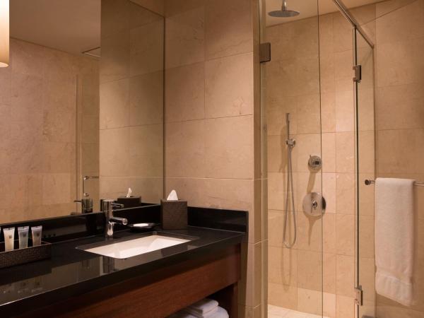 Millennium Knickerbocker Chicago : photo 7 de la chambre chambre lit king-size