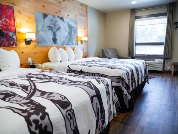 Banff Rocky Mountain Resort : photo 1 de la chambre suite junior avec 2 lits queen-size