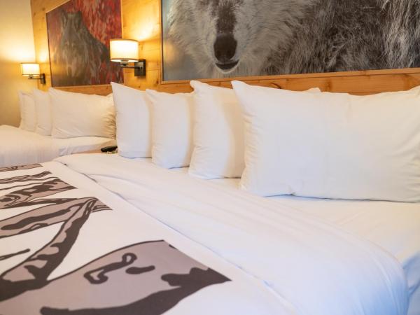 Banff Rocky Mountain Resort : photo 5 de la chambre suite junior avec 2 lits queen-size