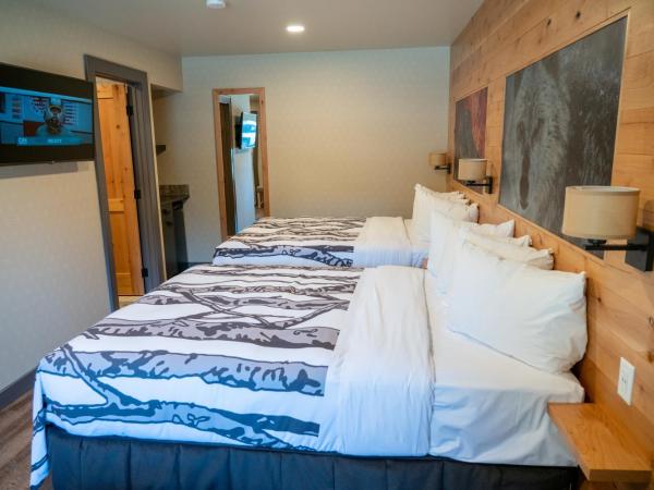 Banff Rocky Mountain Resort : photo 7 de la chambre suite junior avec 2 lits queen-size