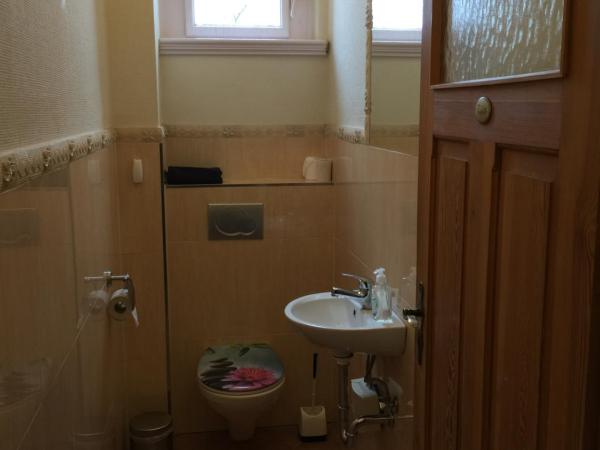 Zimmerfrei-Dresden mit Bad-Miniküche Self Check In 24-7 : photo 8 de la chambre single room with bathroom and mini kitchen