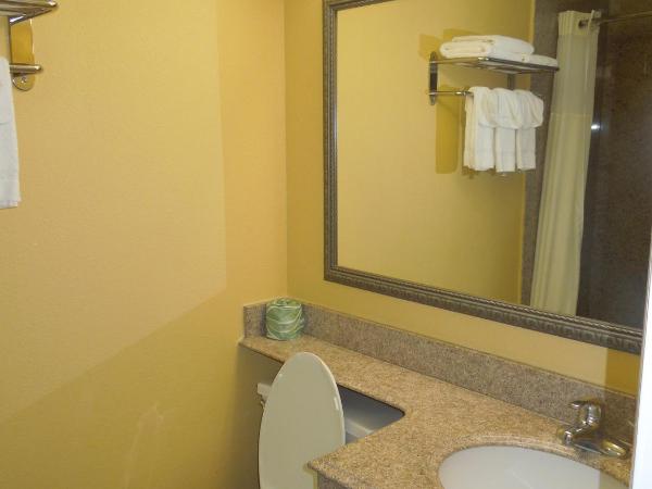 Ambassadors Inn & Suites : photo 5 de la chambre chambre lit queen-size