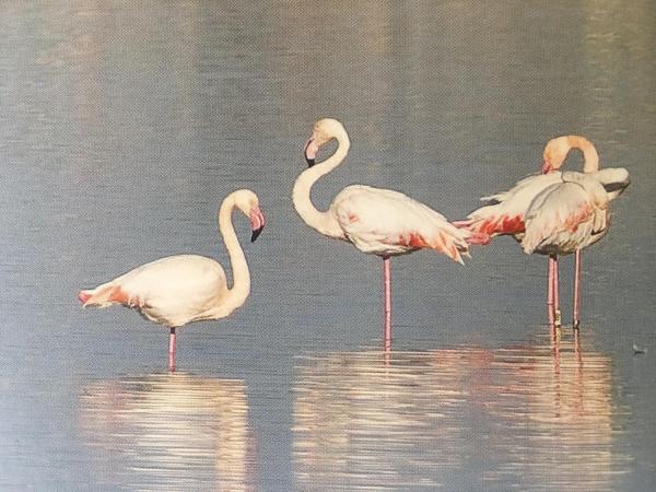 Blue Sea Rooms Apartment Cagliari : photo 8 de la chambre chambre simple deluxe avec balcon