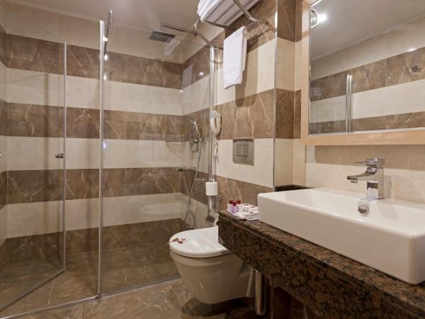 Xperia Saray Beach Hotel : photo 4 de la chambre chambre double ou lits jumeaux standard