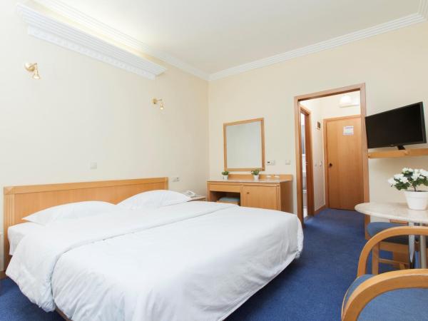 Telioni Hotel : photo 1 de la chambre chambre double