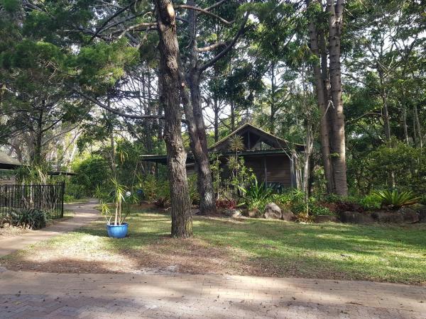 Byron Bay Rainforest Resort : photo 2 de la chambre cabine 1 chambre (lit queen-size et lit simple)