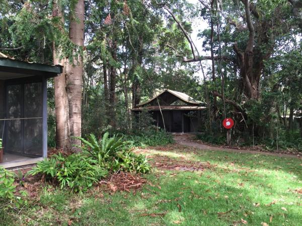 Byron Bay Rainforest Resort : photo 4 de la chambre cabine 1 chambre (lit queen-size et lit simple)