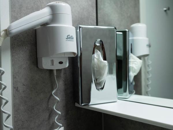 Hotel Waldhorn : photo 6 de la chambre chambre simple affaires