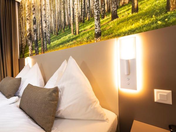 Hotel Waldhorn : photo 5 de la chambre chambre lits jumeaux basique