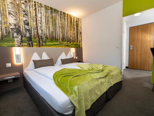 Hotel Waldhorn : photo 1 de la chambre chambre lits jumeaux basique