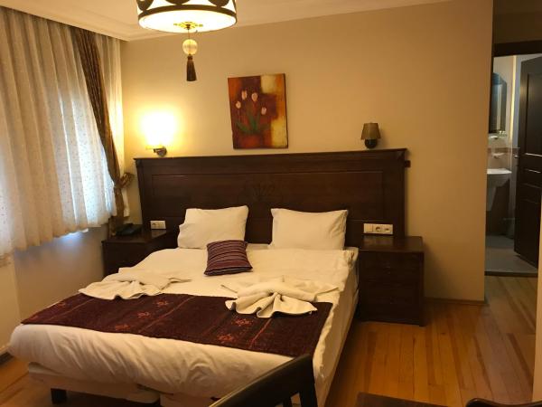 Berce Hotel Istanbul : photo 5 de la chambre chambre deluxe double ou lits jumeaux